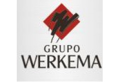 Grupo Werkema