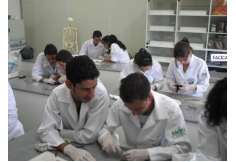 FACICA - Faculdade de Ciências da Saúde de Campos Gerais