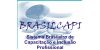 BRASILCAPI - Sistema Brasileiro de Capacitação e Inclusão Profissional