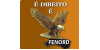FENORD - Fundação Educacional Nordeste Mineiro